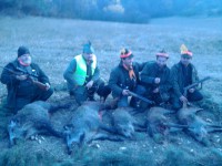 /album/pz-liska/a041-jpg1/