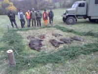 /album/pz-liska/a107-jpg1/